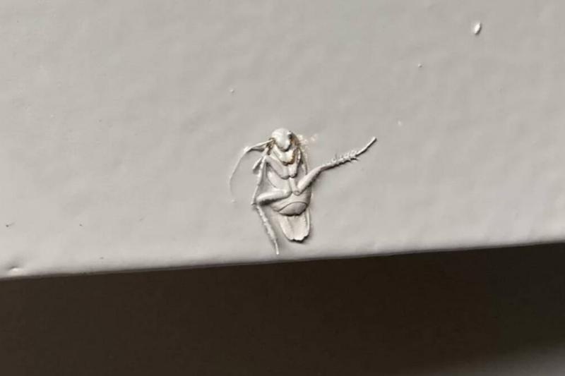 Screen Shot 2023-11-21 at 2.14.01 PM