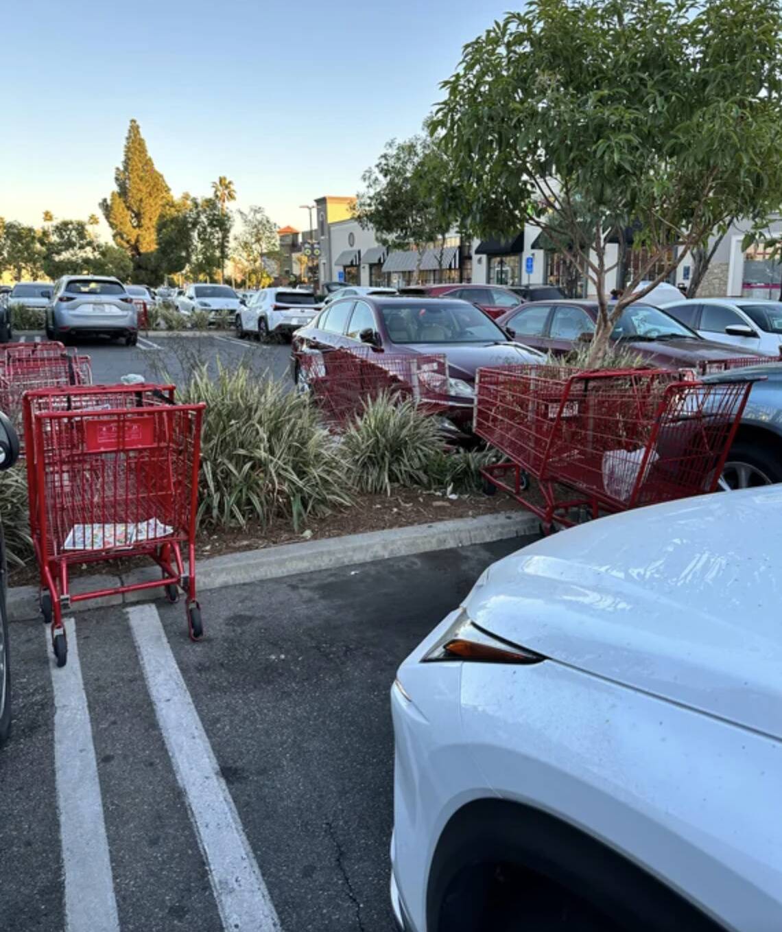 Screen Shot 2023-11-21 at 2.21.10 PM