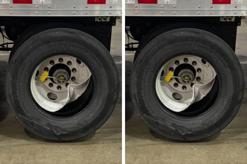 Untitled design (88)