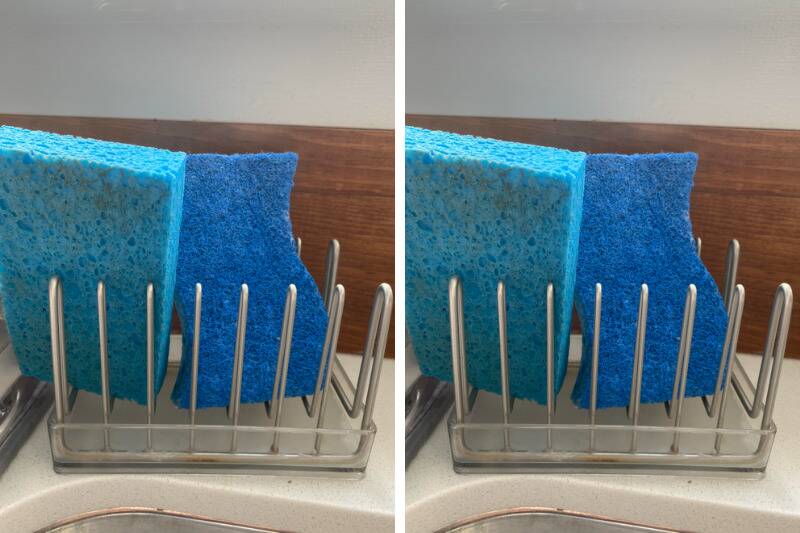 Untitled design (98)