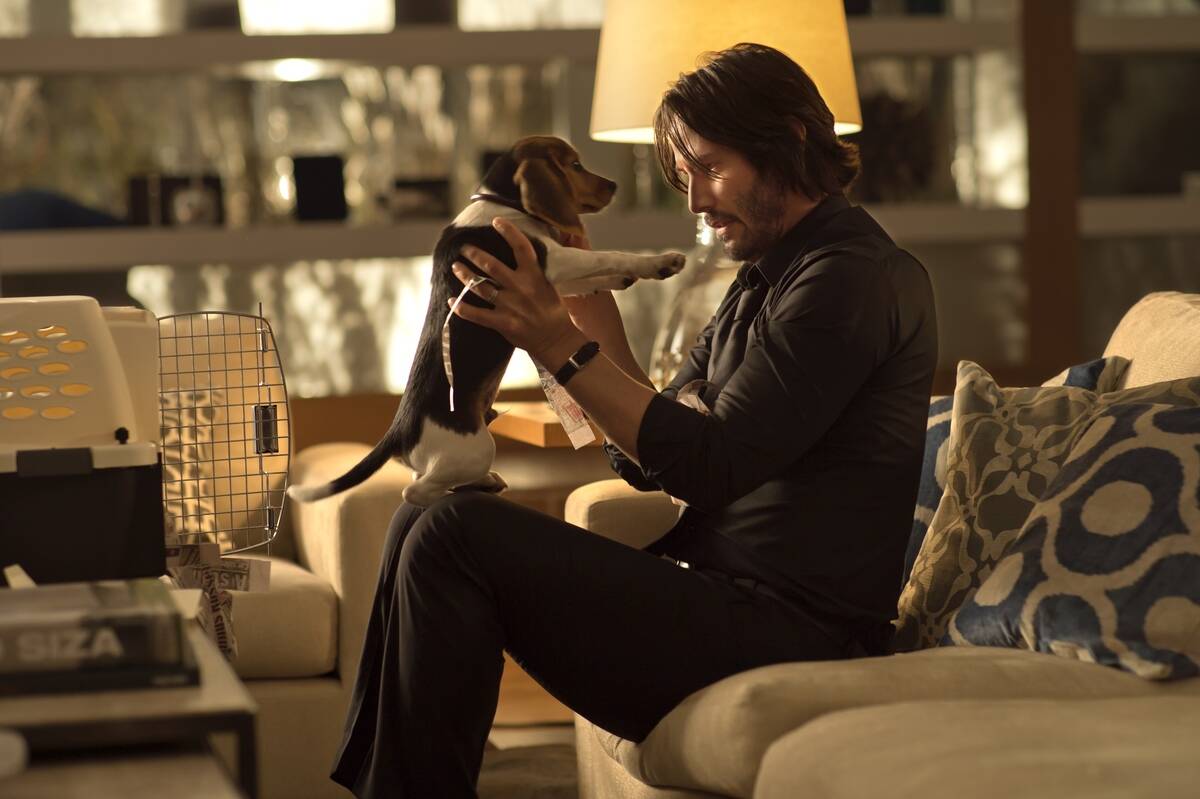 john-wick_9ea5e8