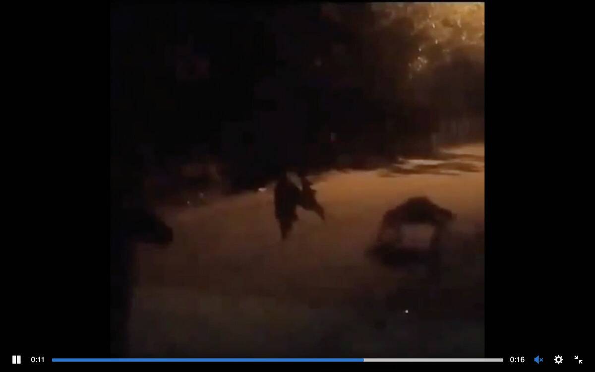 Screen Shot 2024-01-04 at 11.58.41 AM