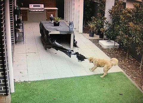 Screen Shot 2024-01-04 at 2.05.07 PM