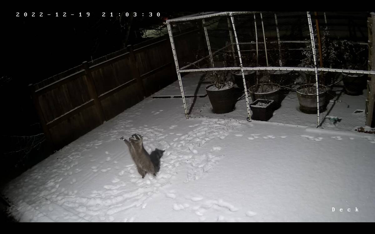 Screen Shot 2024-01-04 at 2.22.59 PM