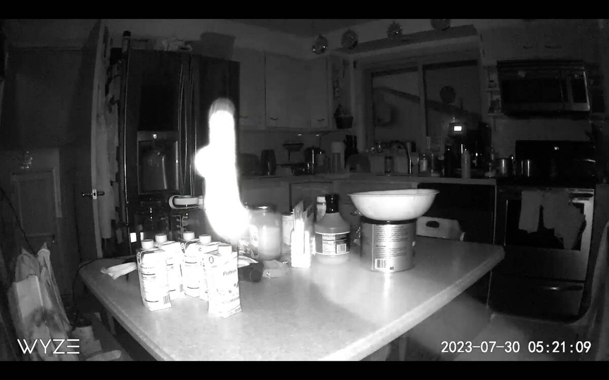 Screen Shot 2024-01-04 at 3.54.47 PM