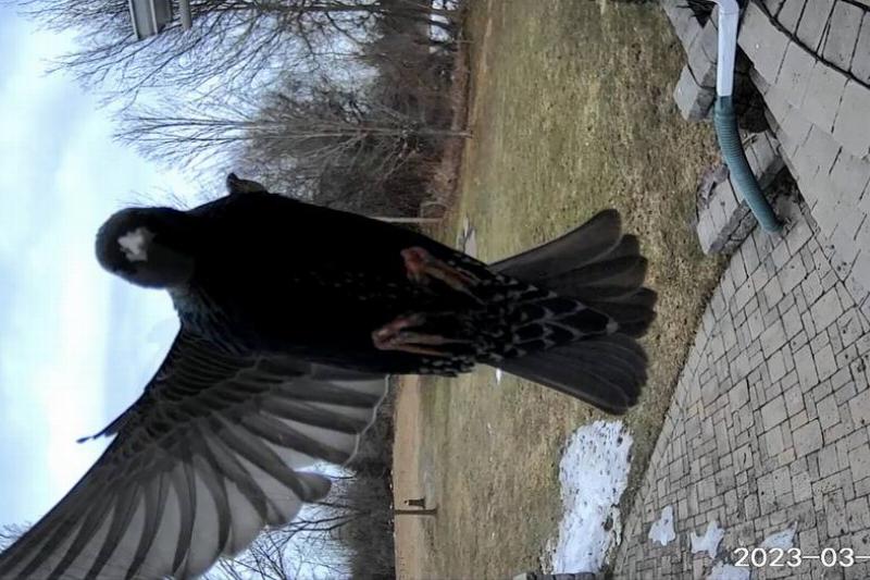 Screen Shot 2024-01-04 at 4.33.00 PM