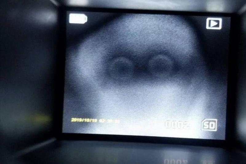 Screen Shot 2024-01-04 at 4.47.03 PM