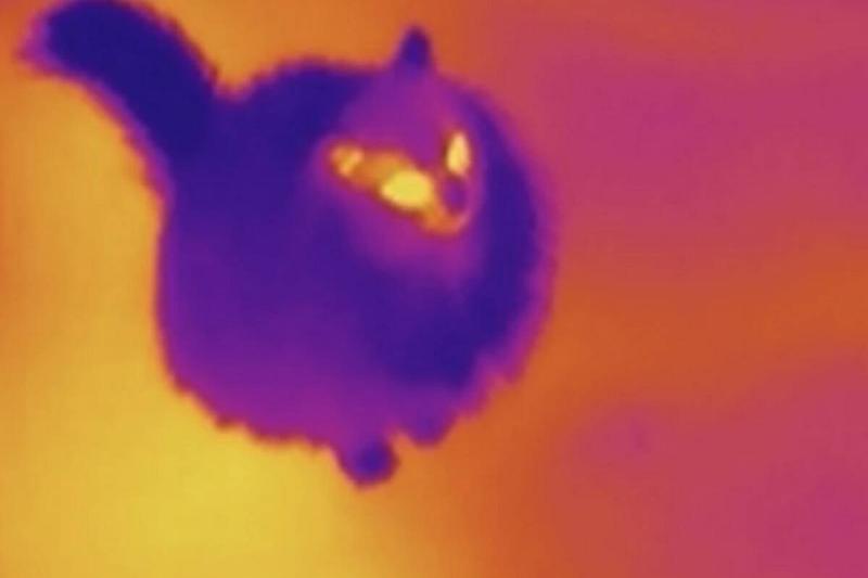 Screen Shot 2024-01-16 at 11.40.39 AM