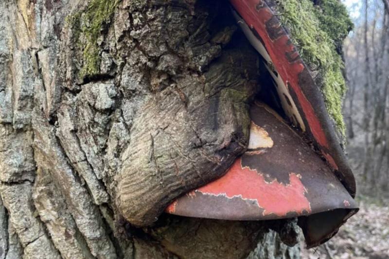 Screen Shot 2024-01-16 at 3.39.51 PM