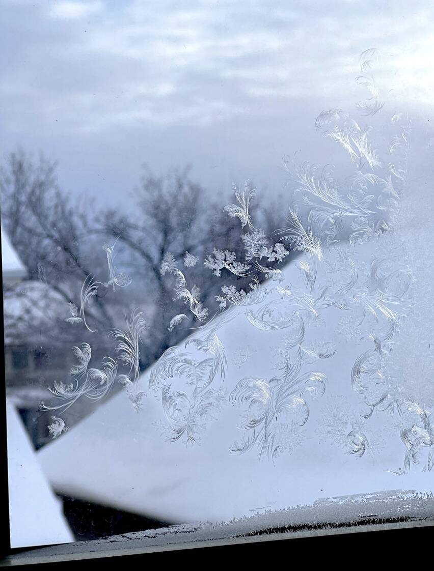 Screen Shot 2024-01-16 at 9.40.55 AM