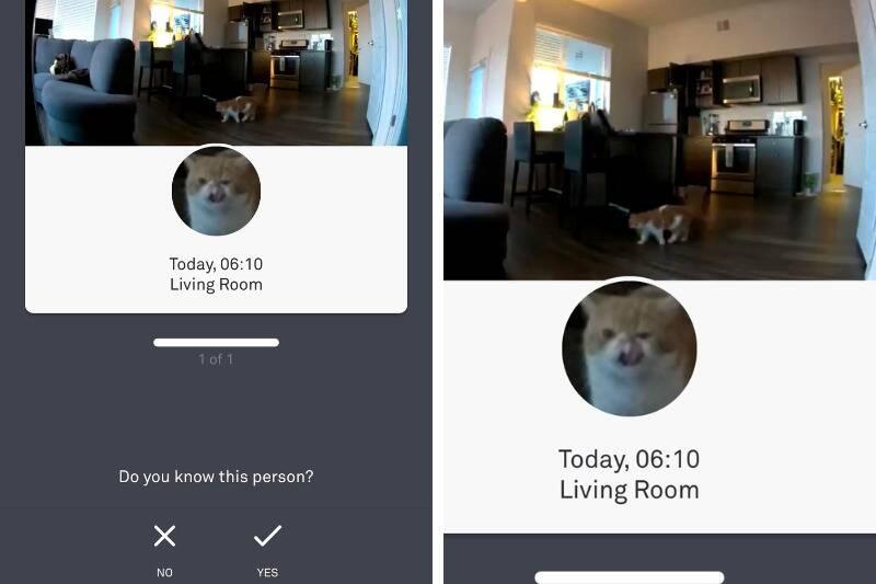 Untitled design - 2024-01-04T102328.783