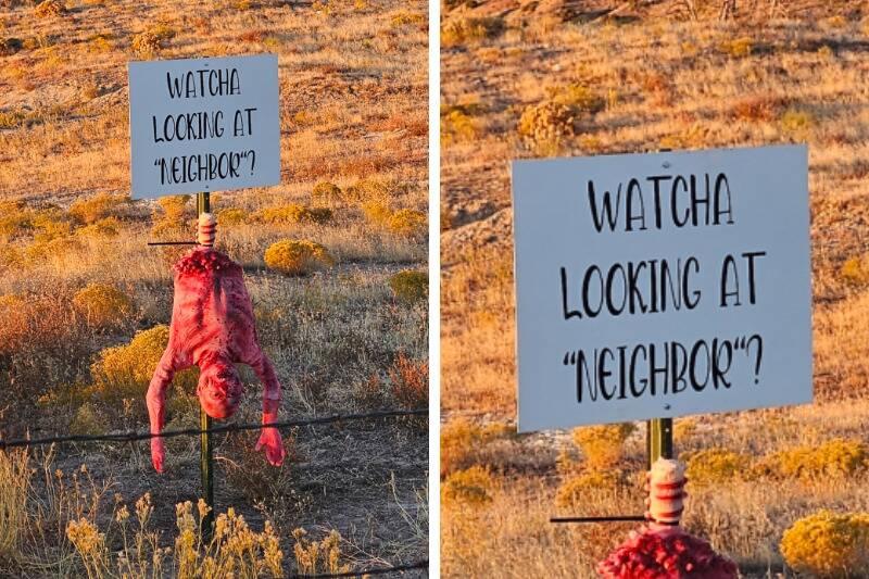 Untitled design - 2024-01-04T110818.210