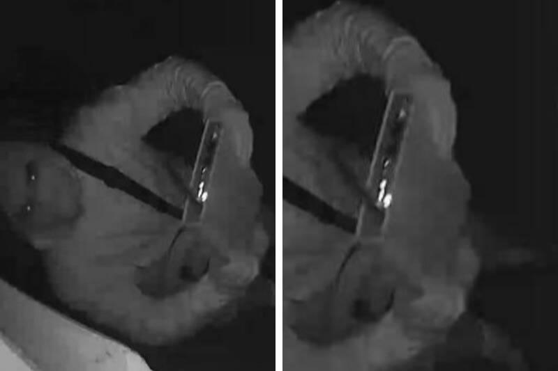 Untitled design - 2024-01-04T113927.676