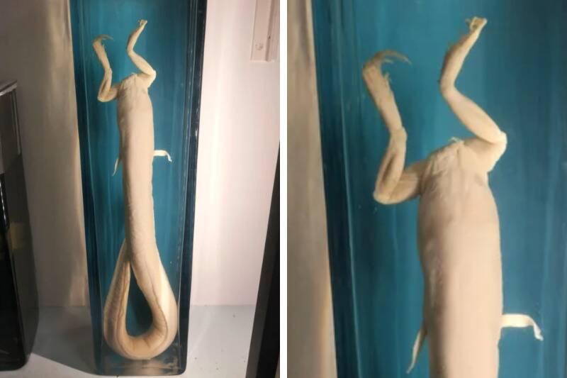 Untitled design - 2024-01-16T161713.839