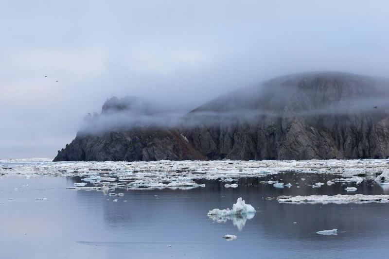 Russie, Ile de Wrangel