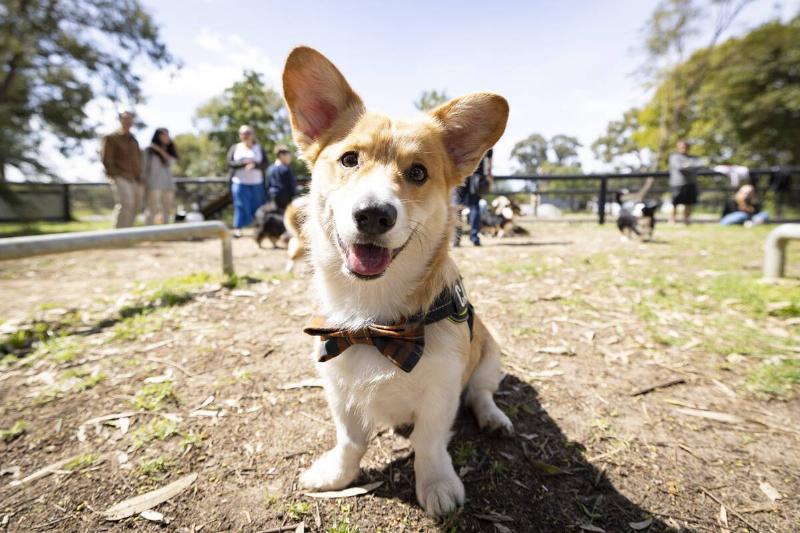 Australia Marks National Day Of Mourning For Queen Elizabeth II With Public Holiday
