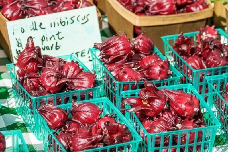 1 Renov Jamaica Flor 33