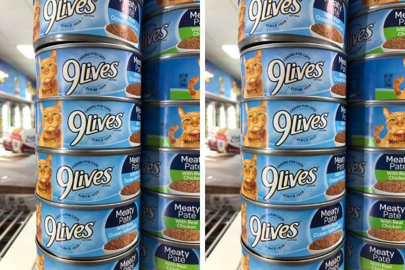 9lives2