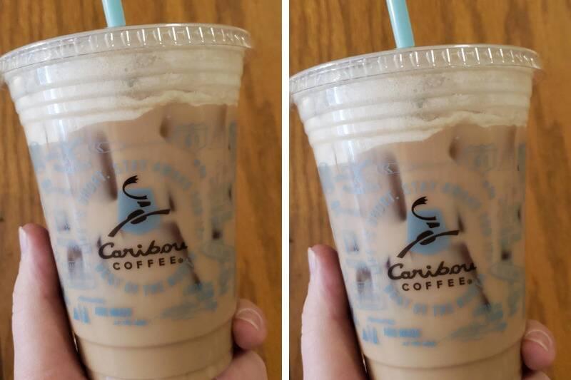 caribou2