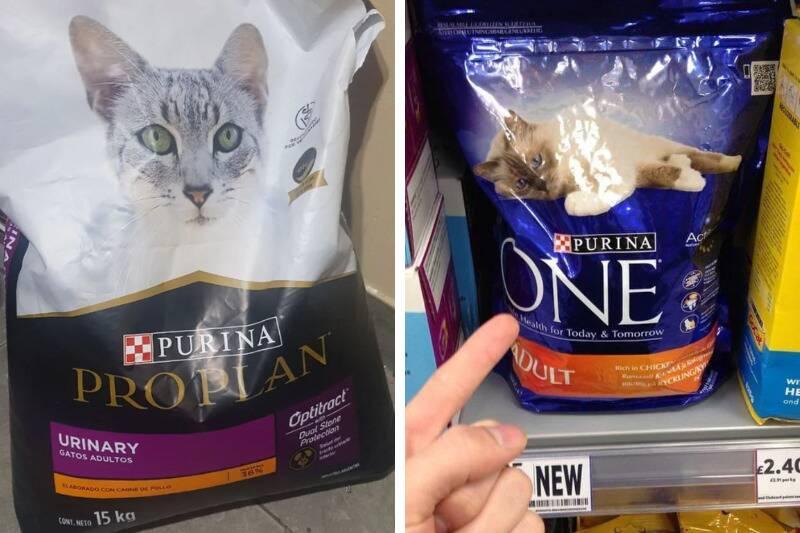 purina2
