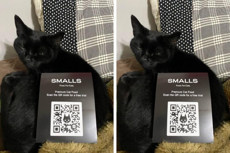 smalls2