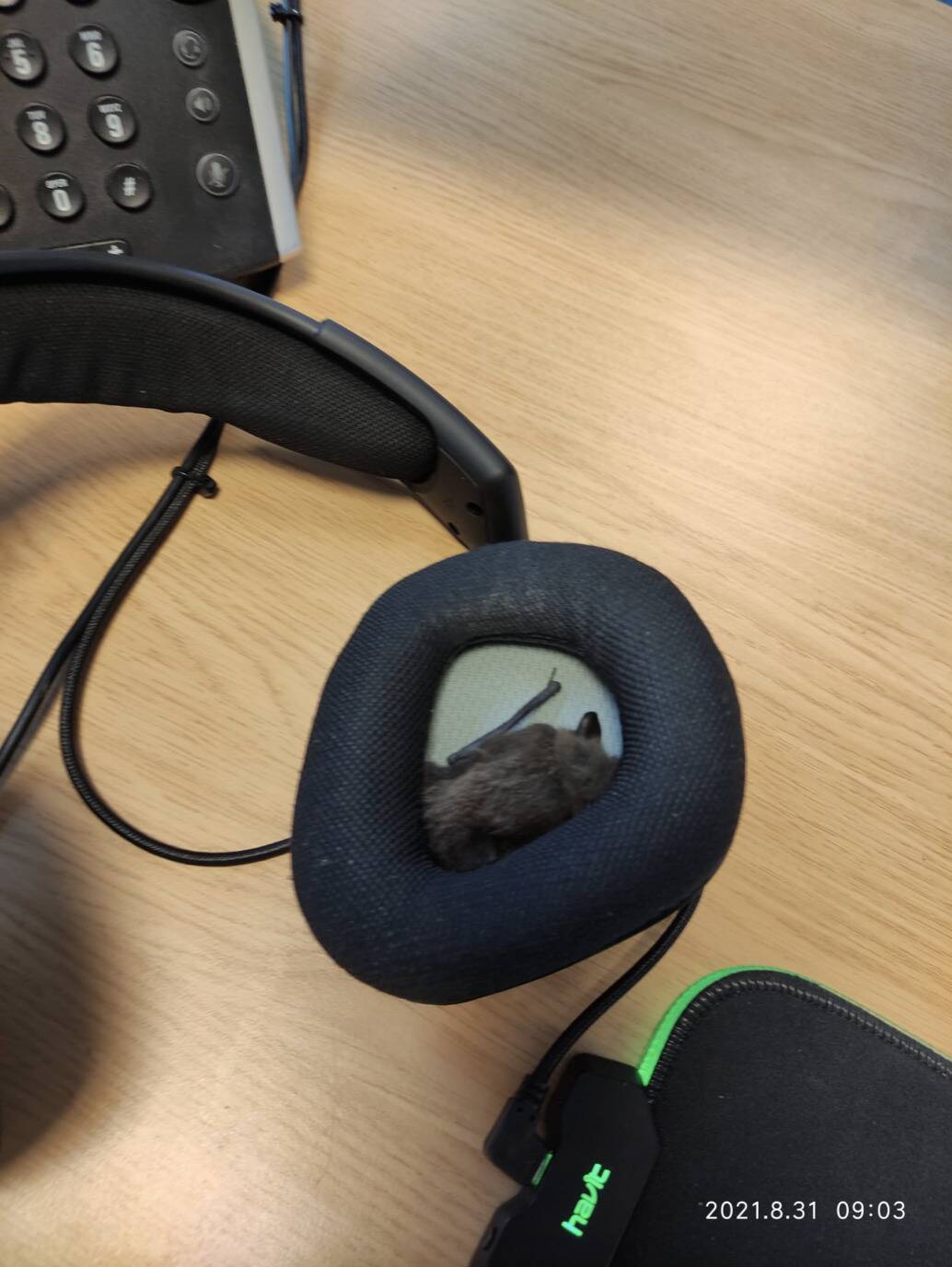 Screenshot 2024-04-23 at 2.35.18 PM