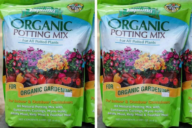 Untitled design (73)