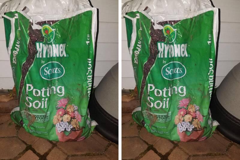 Untitled design (74)