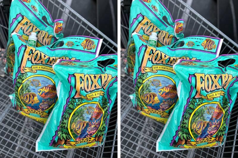 Untitled design (75)