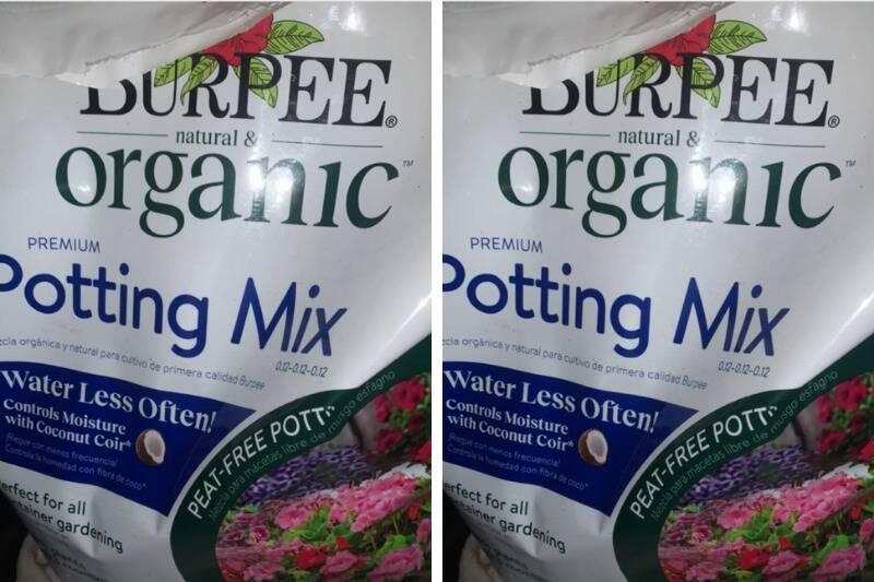 Untitled design (76)