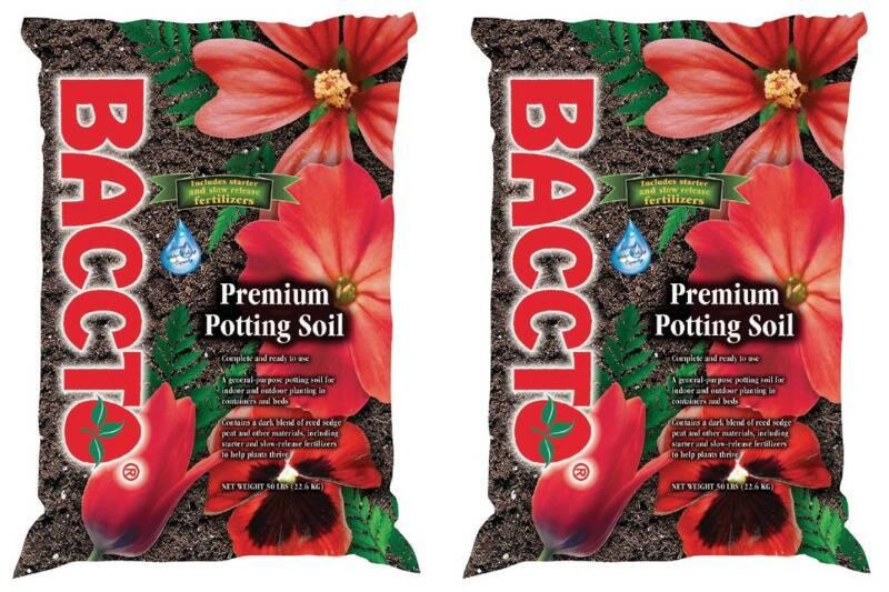 Untitled design (77)