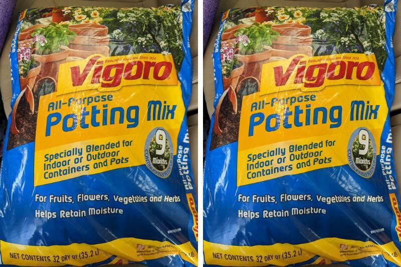 Untitled design (78)