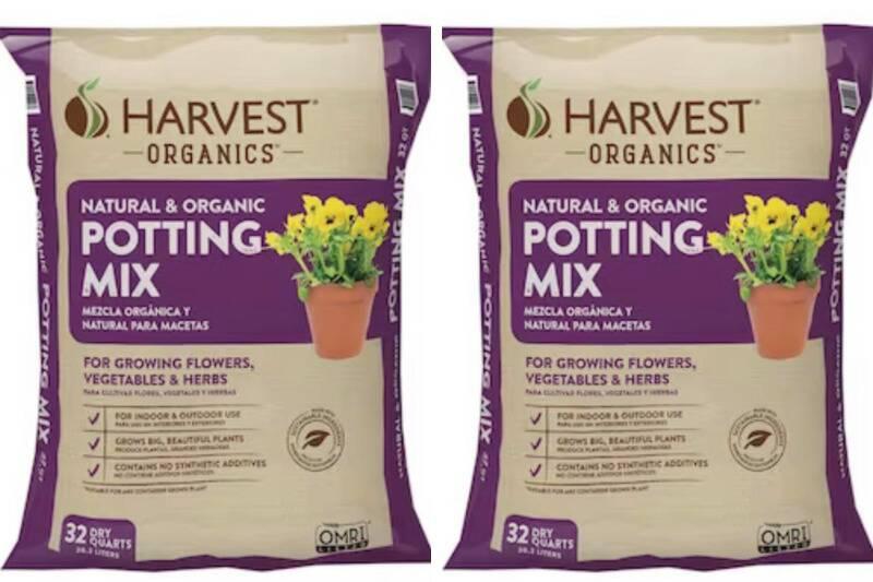 Untitled design (79)