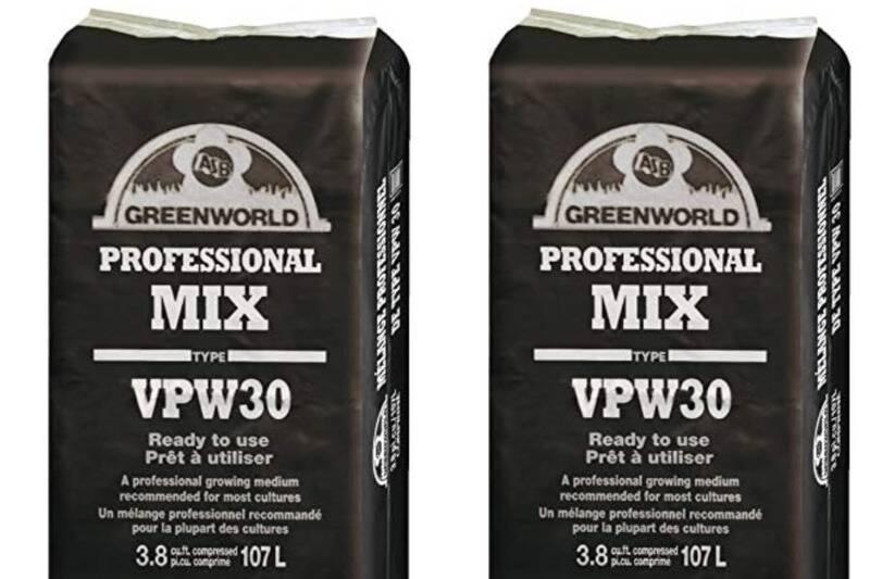 Untitled design (81)