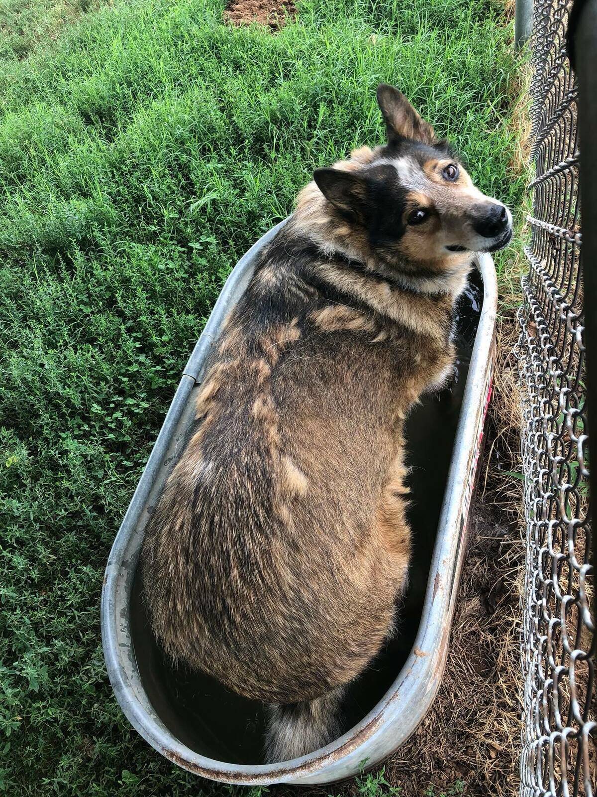 36857570_1898377830463815_6518850767154053120_n