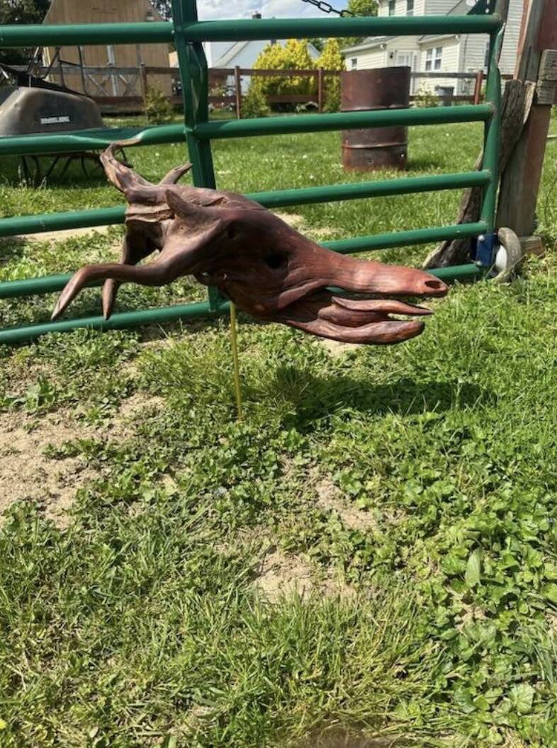 Screenshot 2024-04-30 at 2.04.45 PM