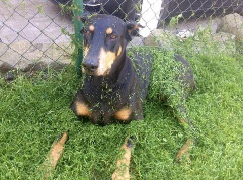 Screen-Shot-2023-11-21-at-10.50.57-AM-57625