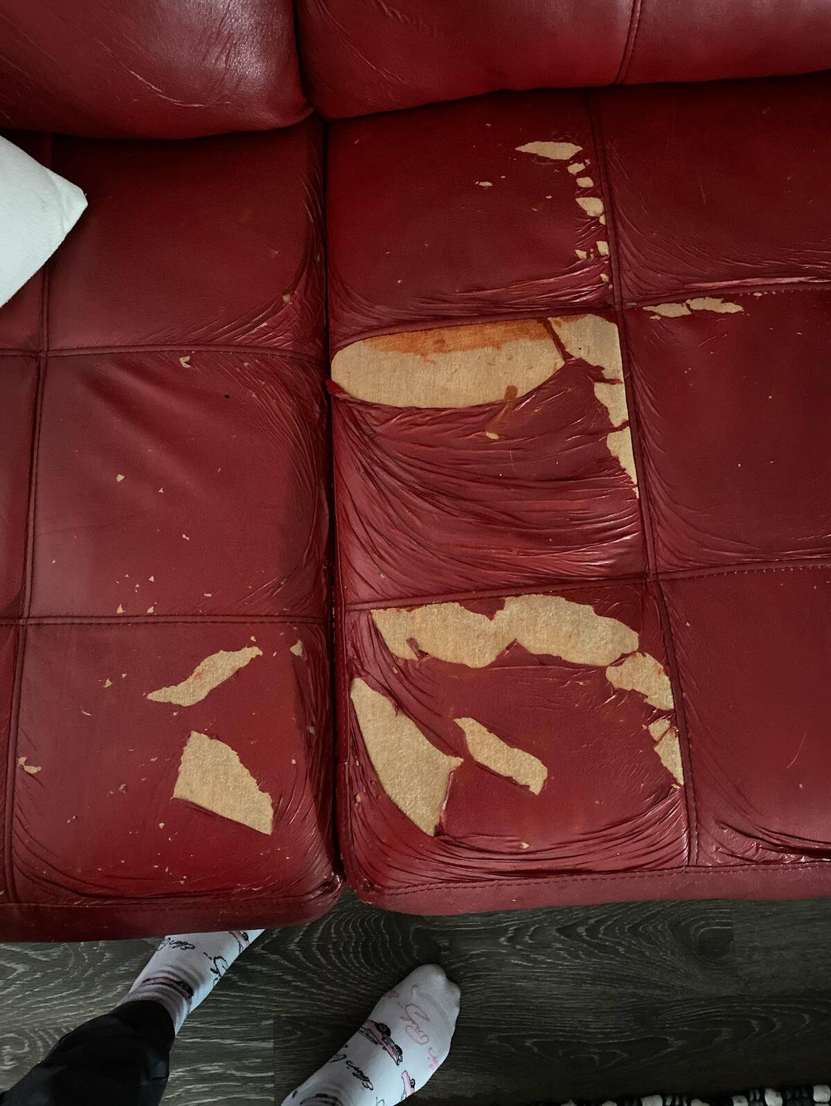 couch