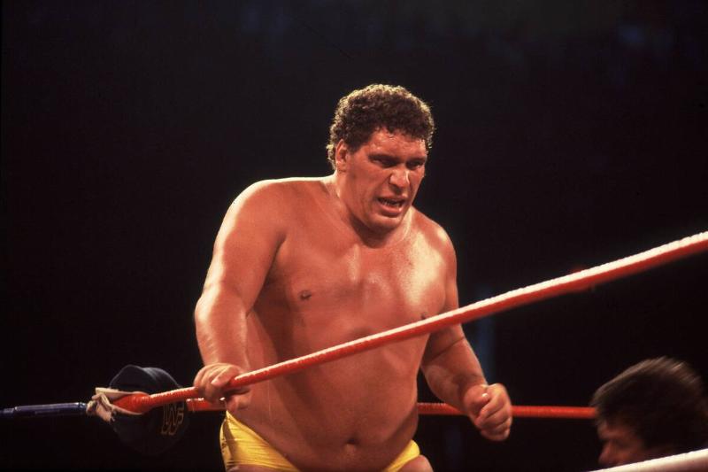 Andre the Giant at Wrestlemania 2 at the Rosemont Horizon in Rosemont, Illinois