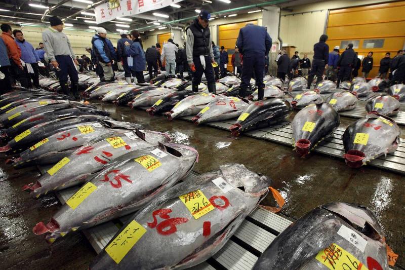 First Tuna Auction In 2010 Is Held At Tsukiji Market