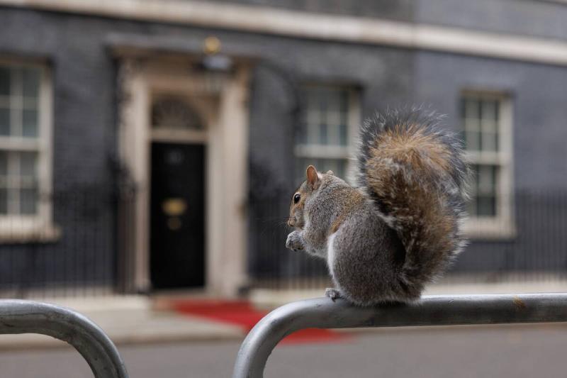 Keir Starmer Hosts The President of Indonesia