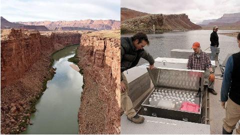 MSN Feature Image (1)