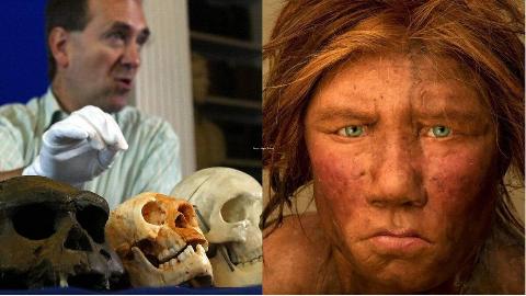 MSN Feature Image (31)