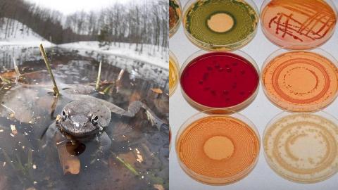 MSN Feature Image (9)