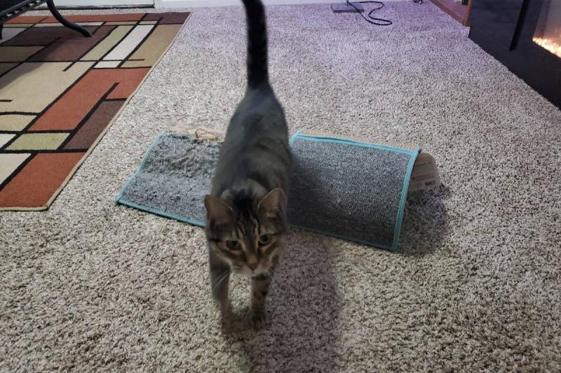 Screenshot 2025-01-14 at 9.24.33 AM