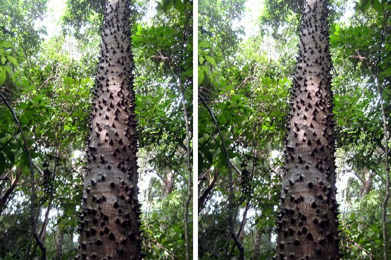 Untitled design - 2025-01-30T110423.854