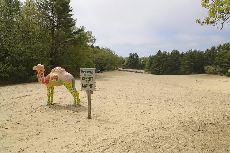 Desert of Maine