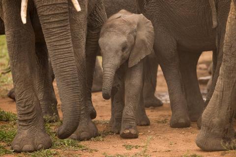 South Africa General Views