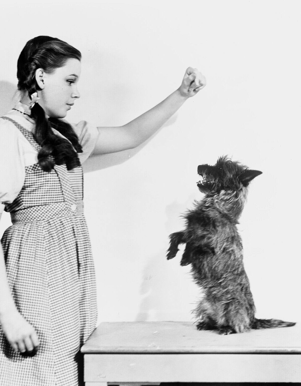 the-wizard-of-oz_8bHn0N