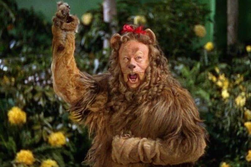 the-wizard-of-oz_BNXLQ9